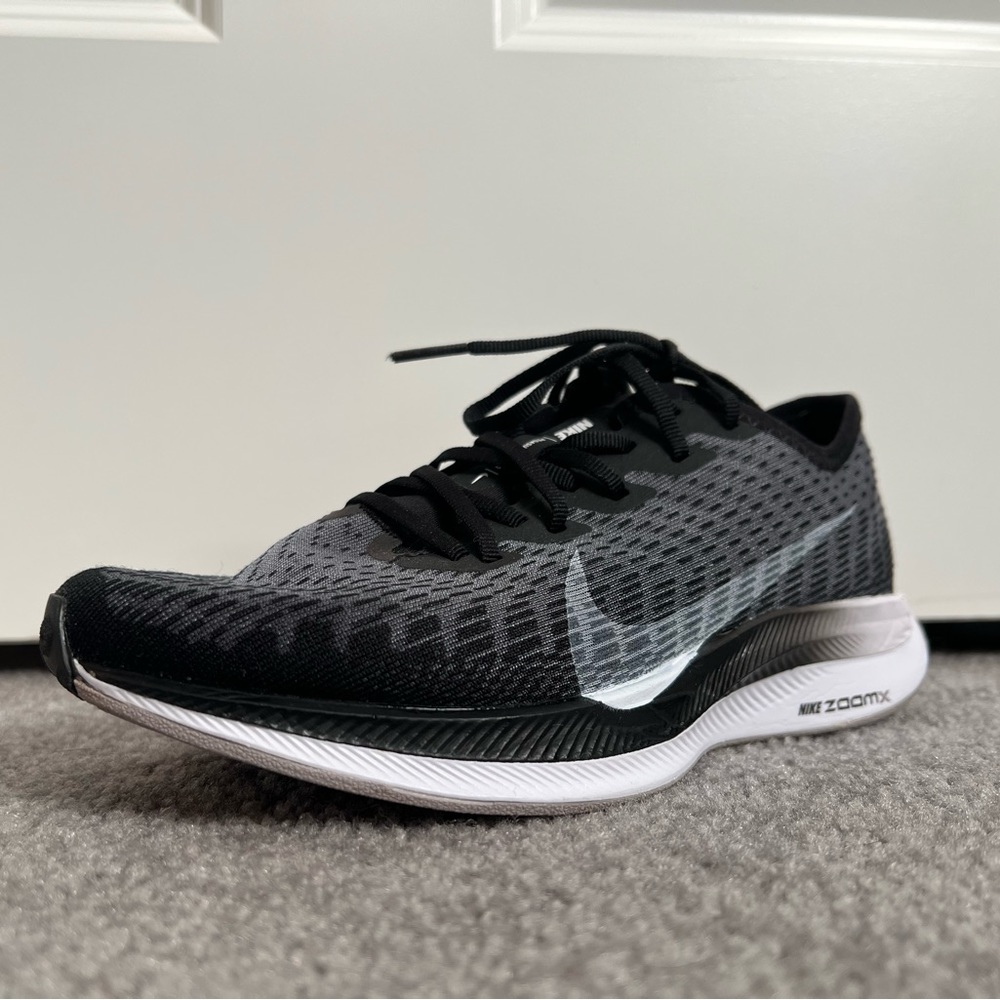 Nike Pegasus Turbo 2